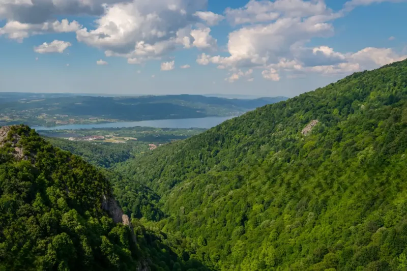 Kartepe Maşukiye